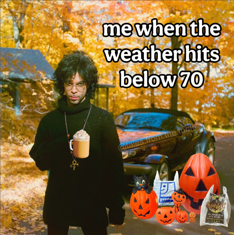 me when the weather hits below 70 @tales.from.the thrift goodw 0303 SPIR SO MUCH FUN IT'S SCARY: 17000