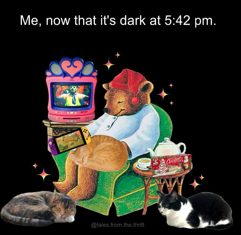 Me, now that it's dark at 5:42 pm. 969 Animal Croicing @tales.from.the.thrift Christmas