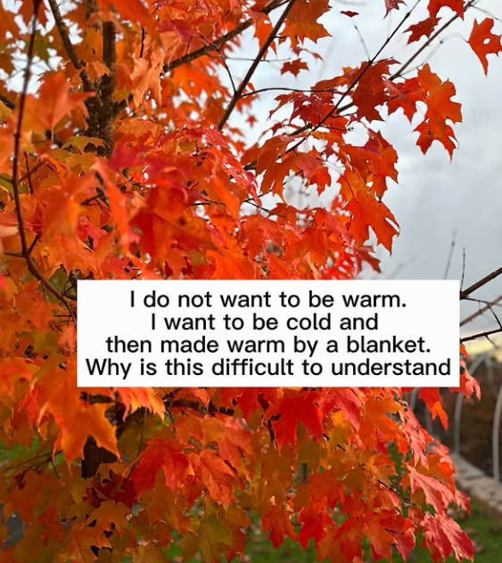 I do not want to be warm. I want to be cold and then made warm by a blanket. Why is this difficult to understand