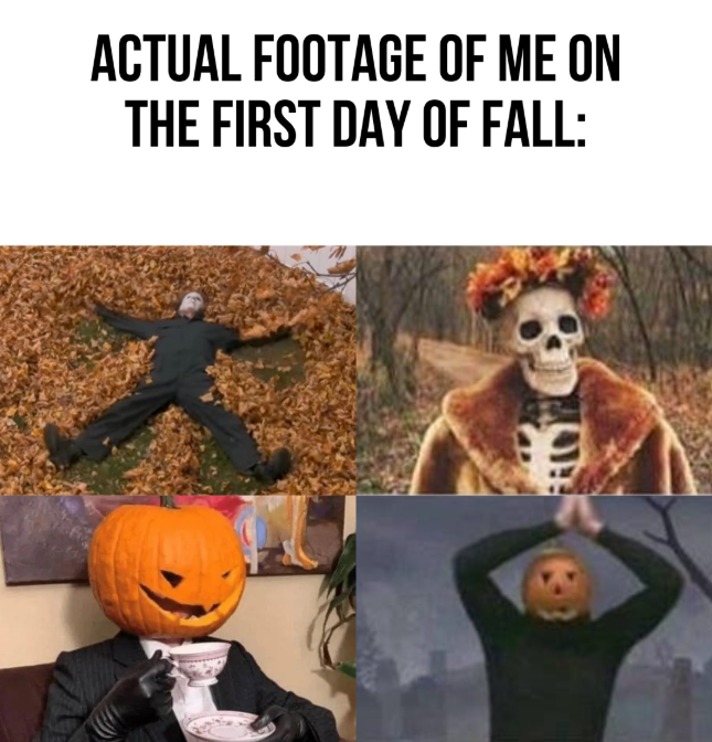 ACTUAL FOOTAGE OF ME ON THE FIRST DAY OF FALL: