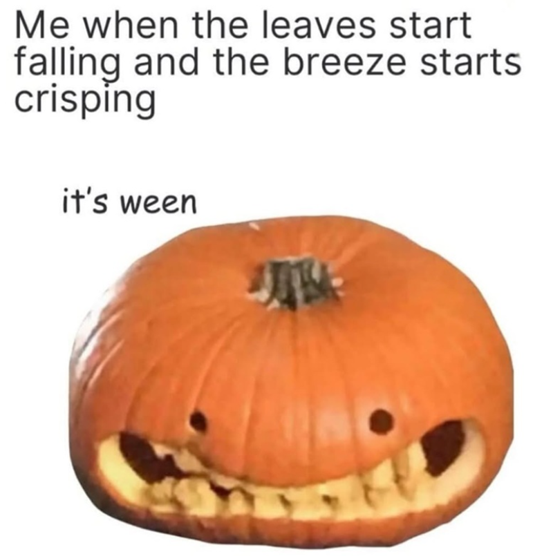 Me when the leaves start falling and the breeze starts crisping it's ween 椰