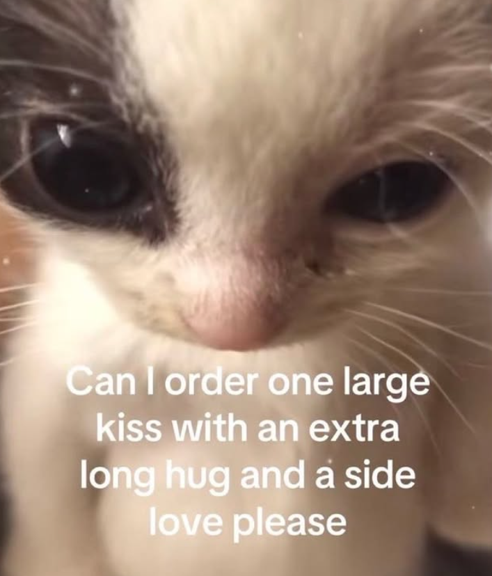 Can I order one large kiss with an extra long hug and a side love please