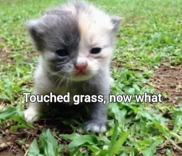 @catsillyness Touched grass, now what