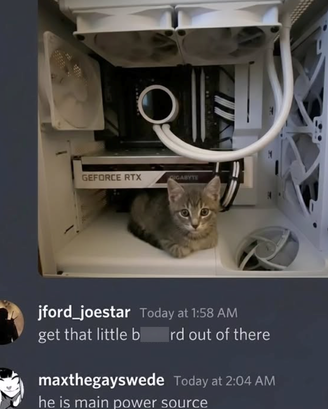 HOME GEFORCE RTX IGABYTE jford_joestar Today at 1:58 AM get that little b rd out of there maxthegayswede Today at 2:04 AM he is main power source