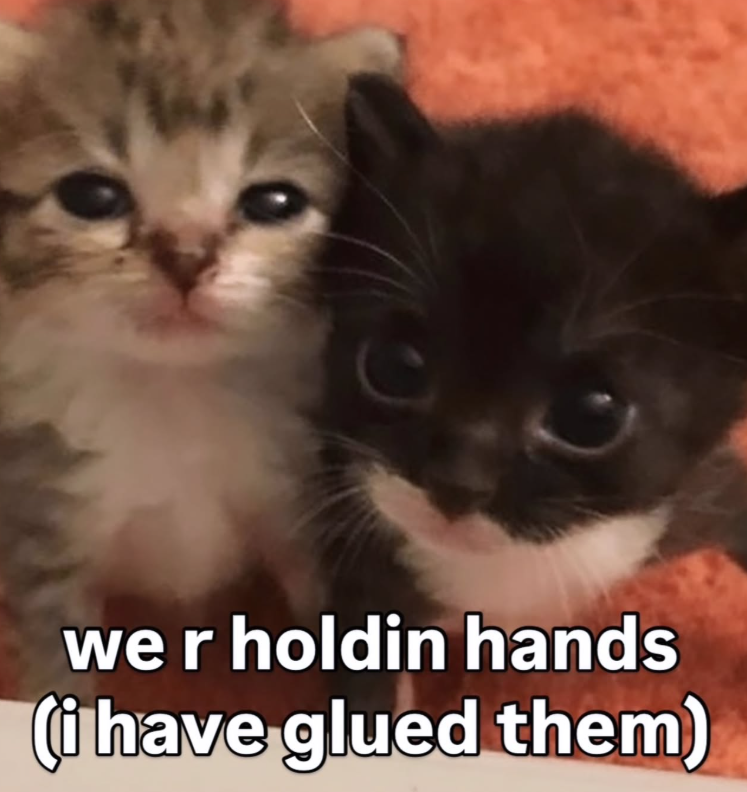 we r holdin hands (i have glued them)