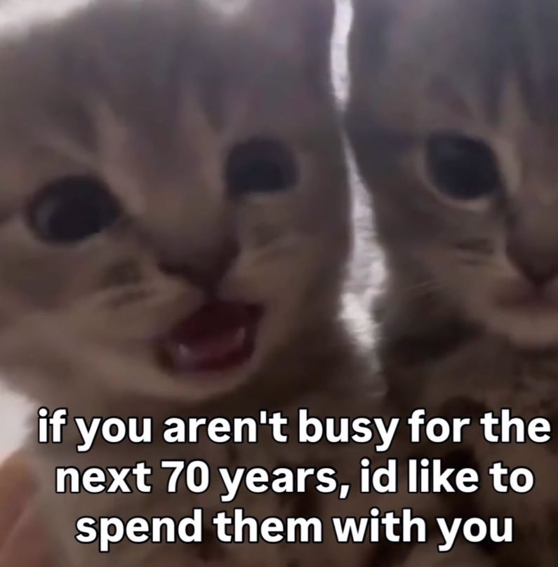 if you aren't busy for the next 70 years, id like to spend them with you