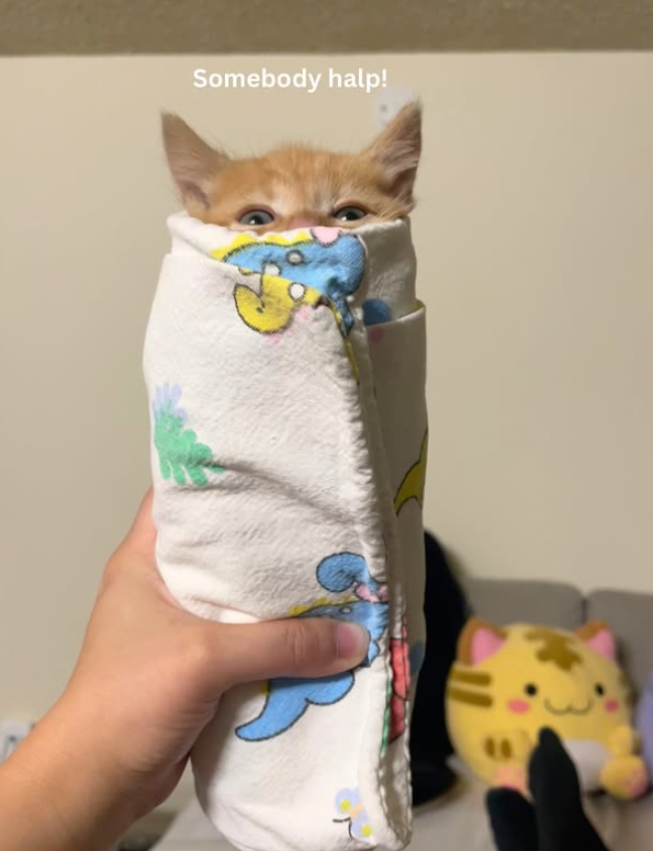 Somebody halp!