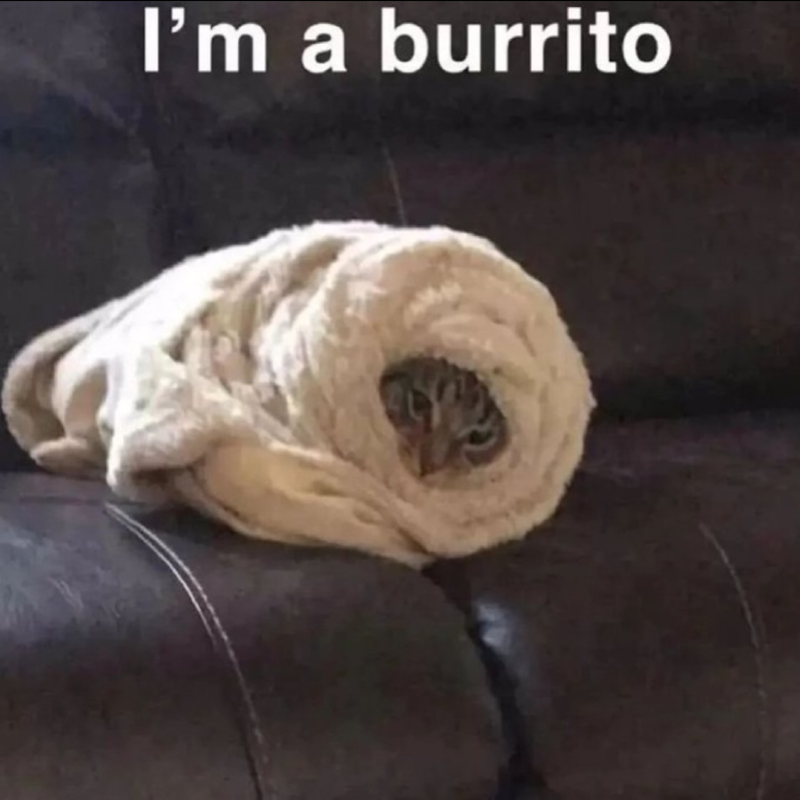 I'm a burrito