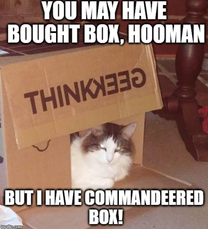 YOU MAY HAVE BOUGHT BOX, HOOMAN THINK BUT I HAVE COMMANDEERED BOX! imgilip.com