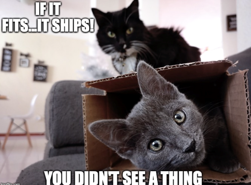 IF IT FITS... IT SHIPS! 4000 imaflin.com YOU DIDN'T SEE A THING