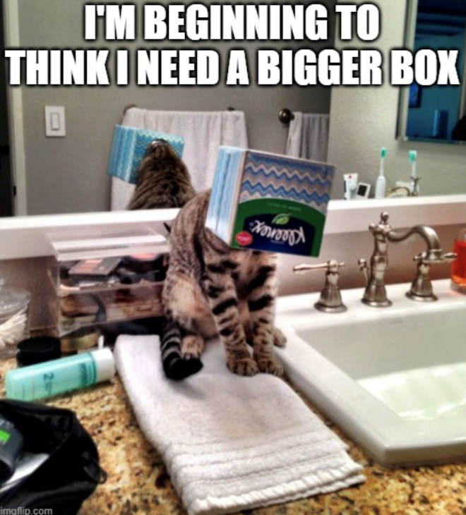 I'M BEGINNING TO THINK I NEED A BIGGER BOX imgflip.com
