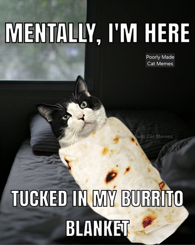 MENTALLY, I'M HERE Poorly Made Cat Memes oorlade Cat Memes TUCKED IN MY BURRITO BLANKET