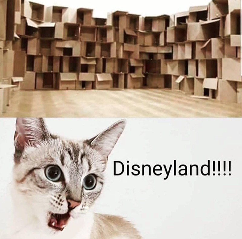 Disneyland!!!!