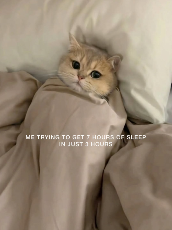 ME TRYING TO GET 7 HOURS OF SLEEP IN JUST 3 HOURS