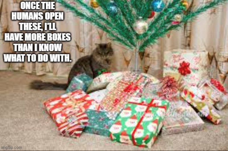 ONCE THE HUMANS OPEN THESE, I'LL HAVE MORE BOXES THAN I KNOW WHAT TO DO WITH. imgflip.com
