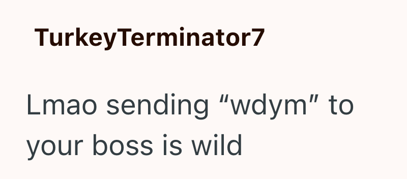 TurkeyTerminator7 Lmao sending "wdym" to your boss is wild