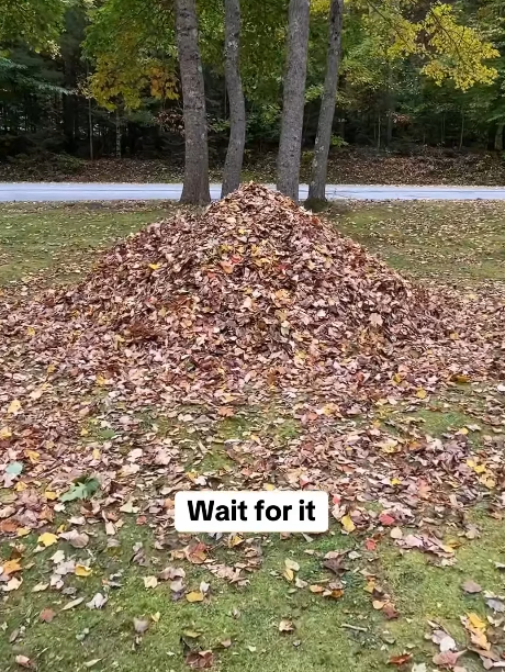 Wait for it