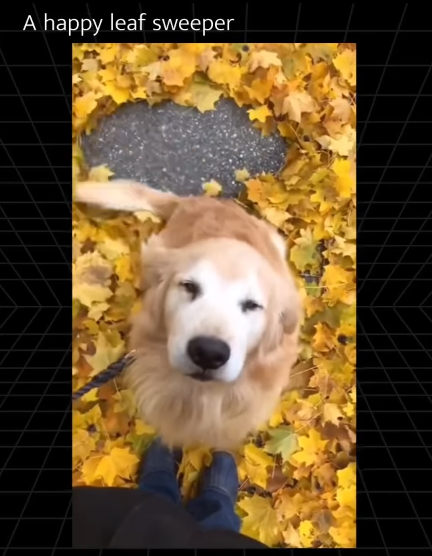 A happy leaf sweeper