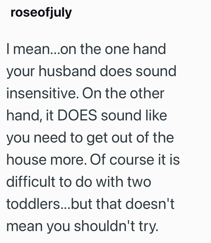 roseofjuly I mean...on the one hand your husband does sound insensitive. On the other hand, it DOES sound like you need to get out of the house more. Of course it is difficult to do with two toddlers...but that doesn't mean you shouldn't try.