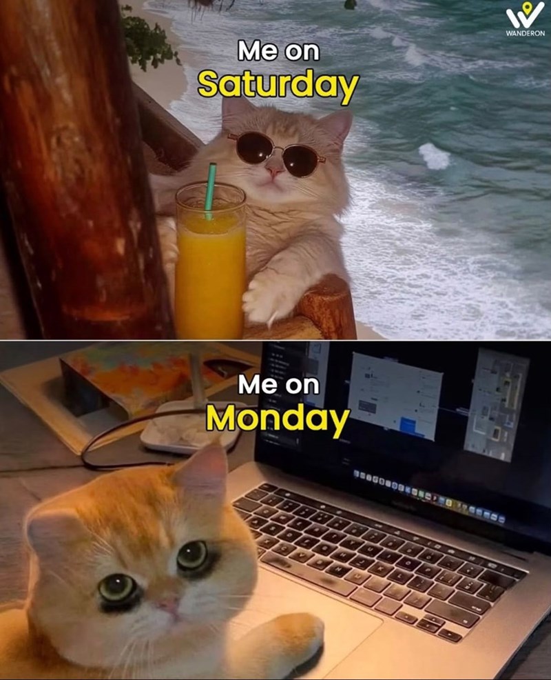 Me on Saturday パ WANDERON Me on Monday H N U 4 K L 9