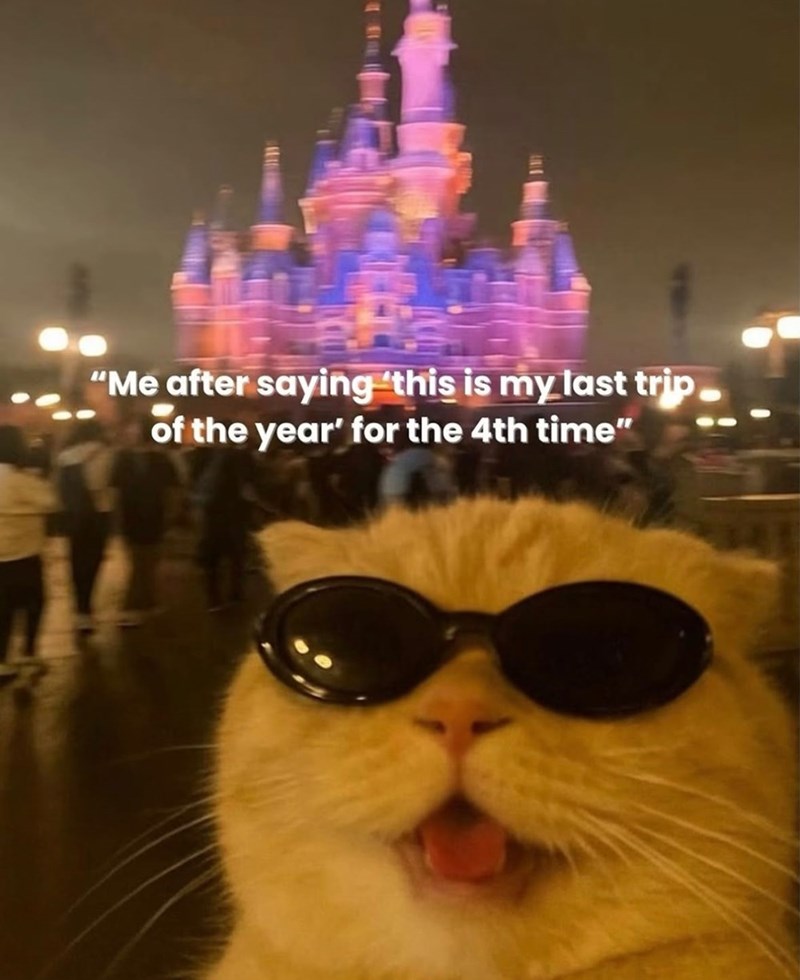 "Me after saying 'this is my last trip of the year' for the 4th time"