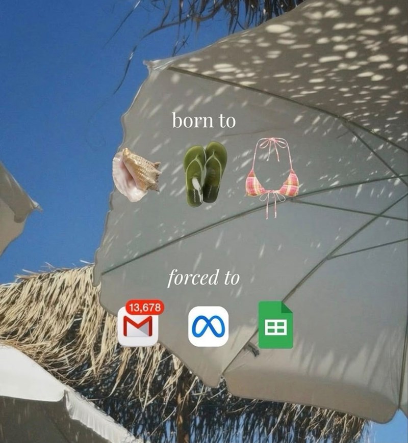 born to 13,678 forced to 8 Σ 田