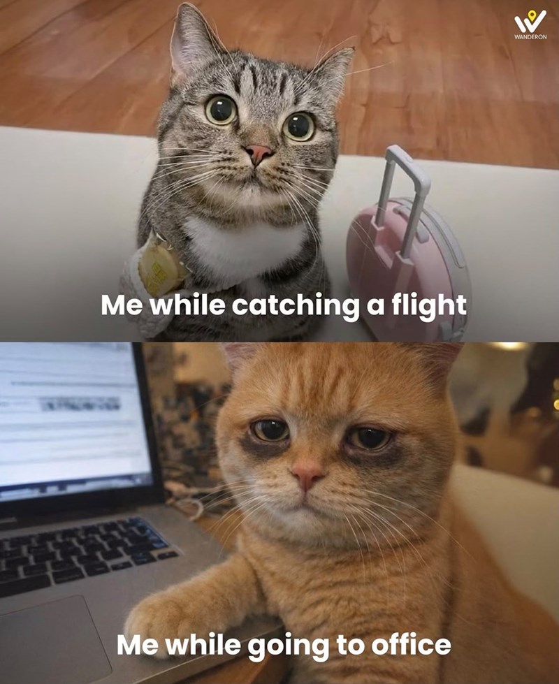 Me while catching a flight Me while going to office WANDERON