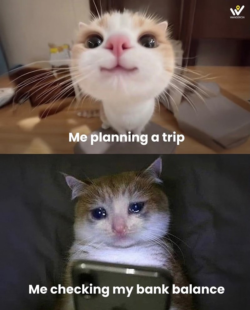Me planning a trip Me checking my bank balance WANDERON