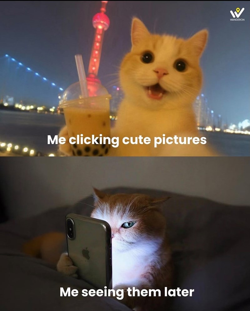 Me clicking cute pictures Me seeing them later パ WANDERON
