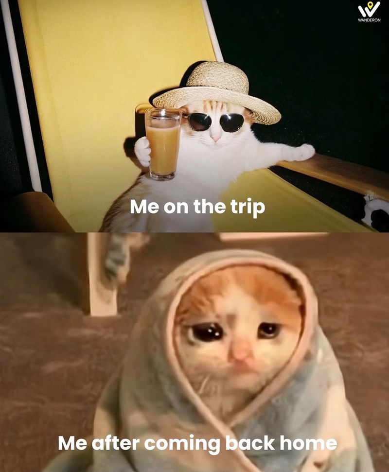 Me on the trip Me after coming back home パ WANDERON