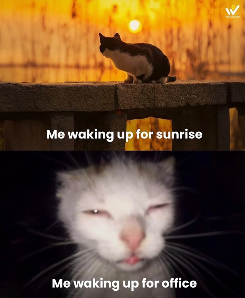 Me waking up for sunrise Me waking up for office 1 WANDERON