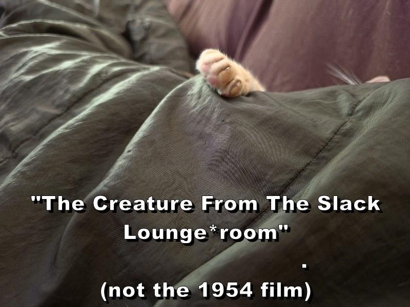 "The Creature From The Slack Lounge room" (not the 1954 film)