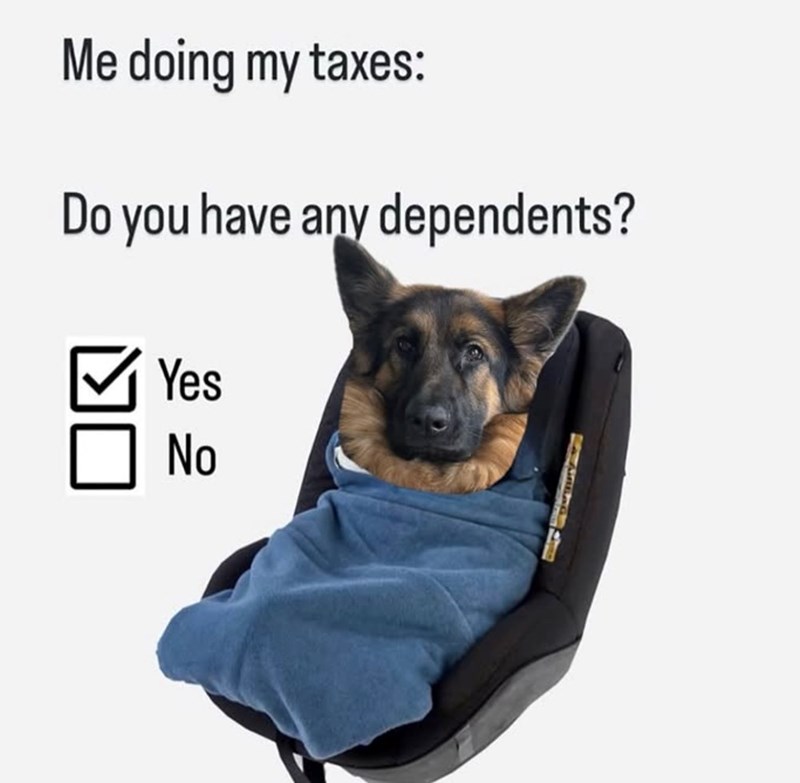 Me doing my taxes: Do you have any dependents? Yes No