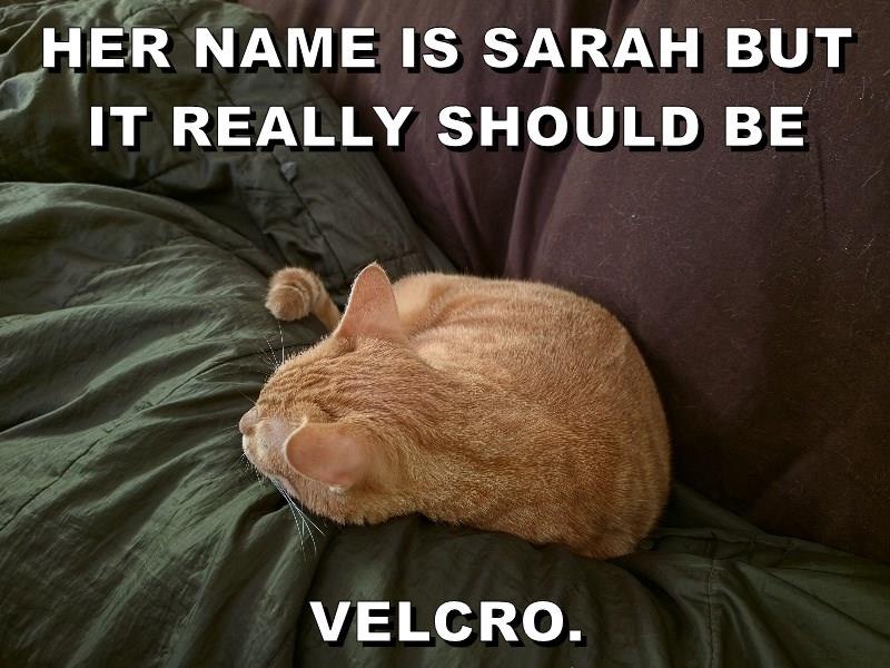 HER NAME IS SARAH BUT IT REALLY SHOULD BE VELCRO.