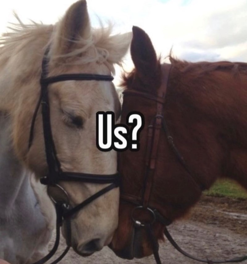 Us?