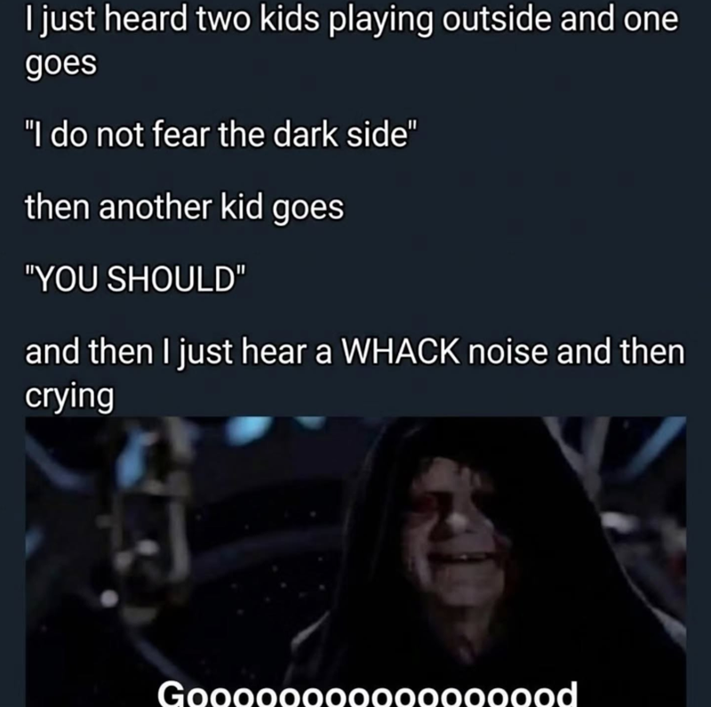 I just heard two kids playing outside and one goes "I do not fear the dark side" then another kid goes "YOU SHOULD" and then I just hear a WHACK noise and then crying Gooooooooooooooood