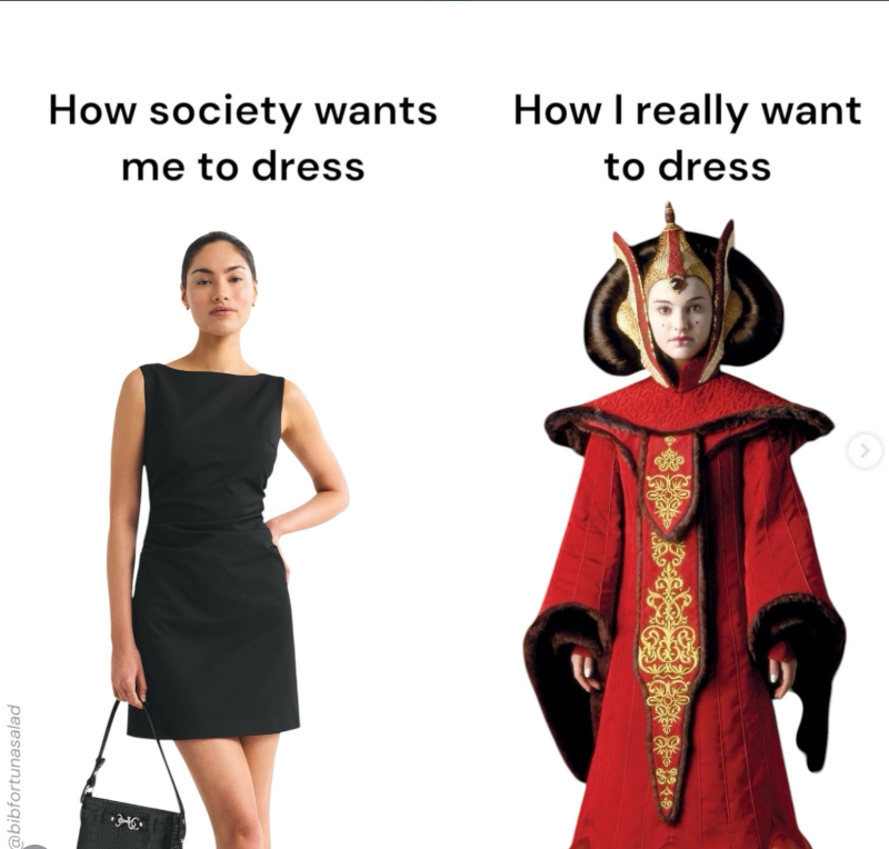 @bibfortunasalad How society wants me to dress How I really want to dress