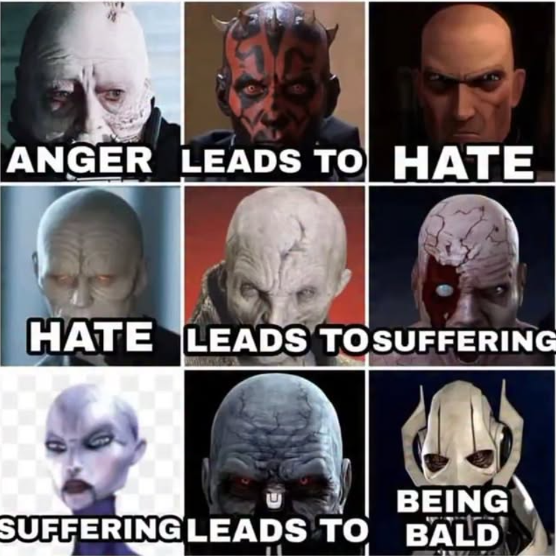 ANGER LEADS TO HATE HATE LEADS TO SUFFERING BEING SUFFERING LEADS TO BALD