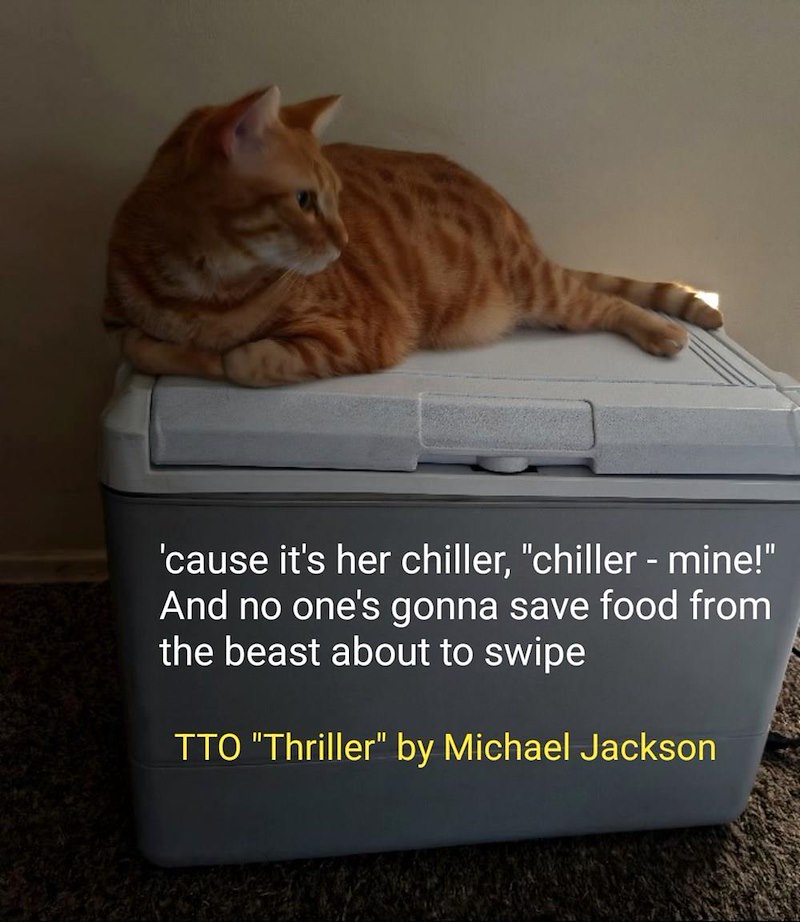 'cause it's her chiller, "chiller - mine!" And no one's gonna save food from the beast about to swipe TTO "Thriller" by Michael Jackson