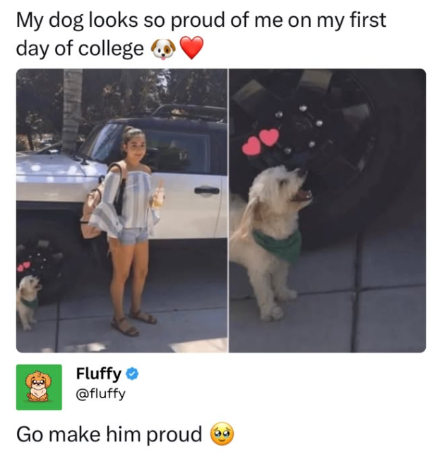 My dog looks so proud of me on my first day of college Fluffy @fluffy Go make him proud ②