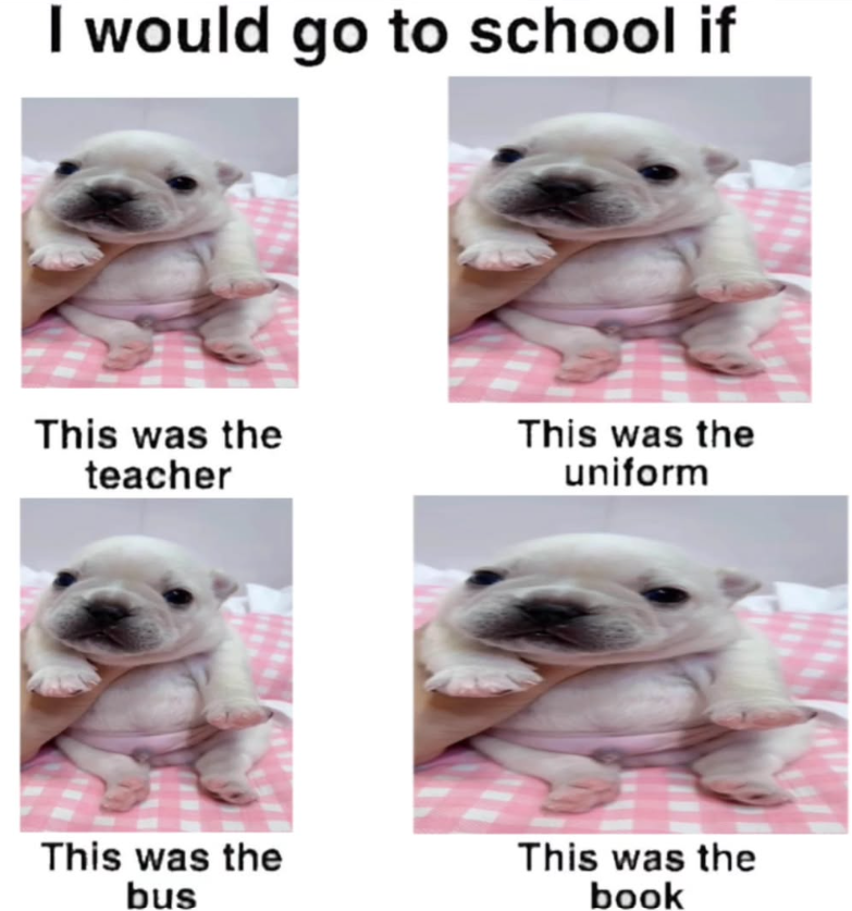 I would go to school if This was the teacher This was the uniform This was the bus This was the book