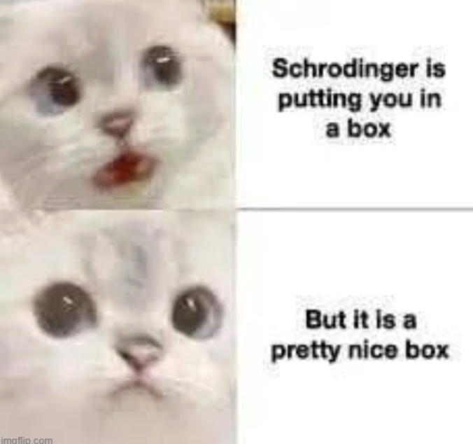 imgflip.com Schrodinger is putting you in a box But it is a pretty nice box