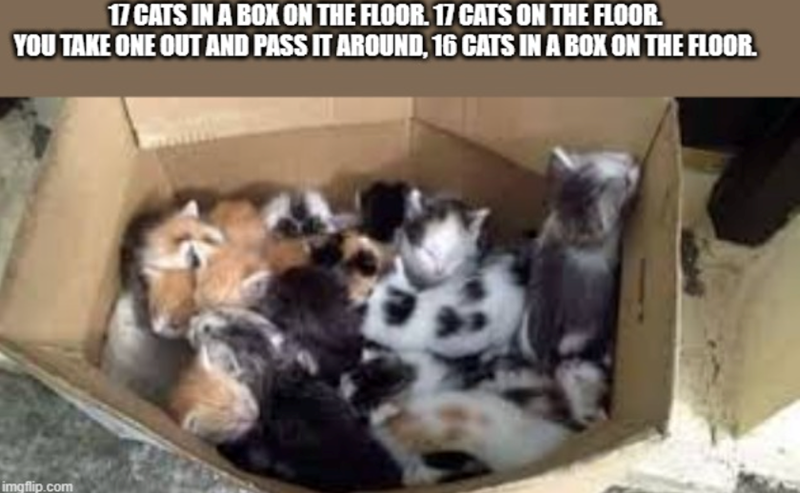 17 CATS IN A BOX ON THE FLOOR. 17 CATS ON THE FLOOR. YOU TAKE ONE OUT AND PASS IT AROUND, 16 CATS IN A BOX ON THE FLOOR. imgflip.com