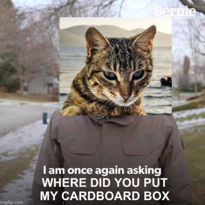 Bernie imgflip.com I am once again asking WHERE DID YOU PUT MY CARDBOARD BOX