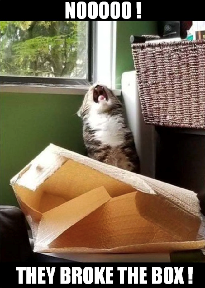 NOOOOO! THEY BROKE THE BOX!