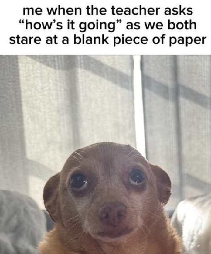 me when the teacher asks "how's it going" as we both stare at a blank piece of paper