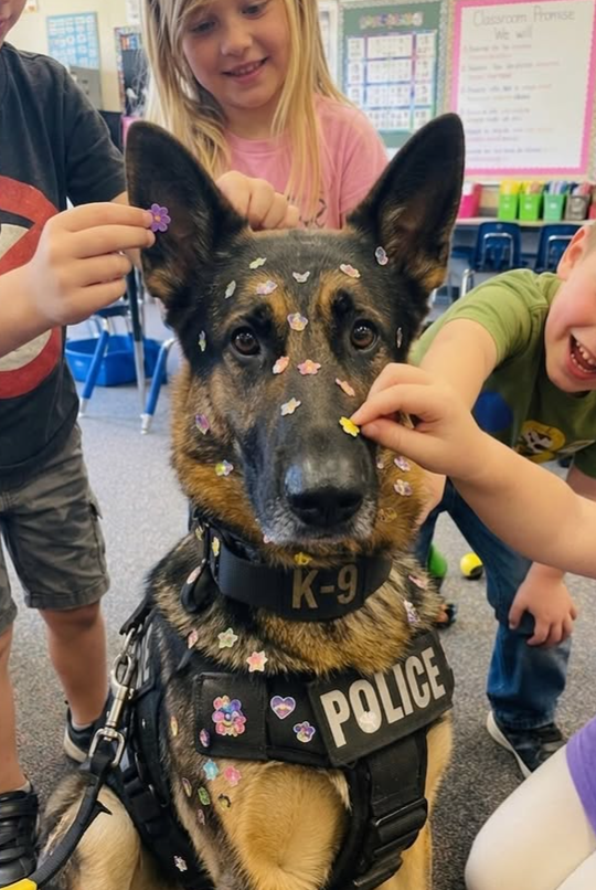 K-9 POLICE Classroom Promise 21111