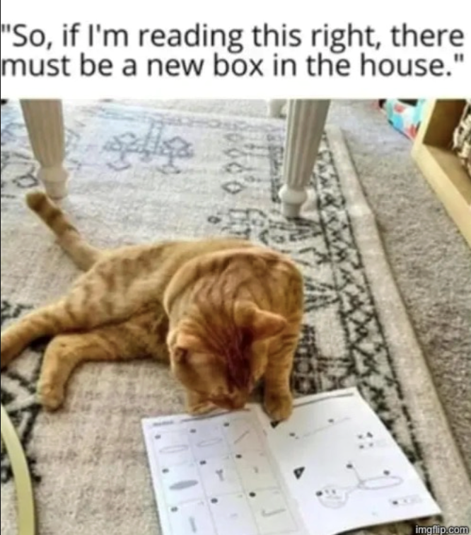 "So, if I'm reading this right, there must be a new box in the house." imgflip.com