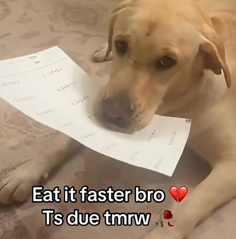 Seon 211+7+0+ 4.1+8+1 511+3+60 Eat it faster bro Ts due tmrw -