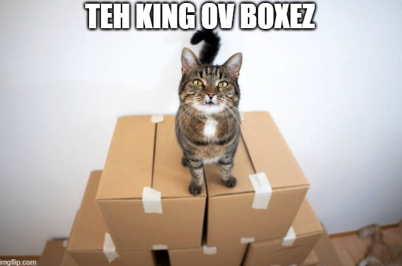 imgflip.com TEH KING OV BOXEZ